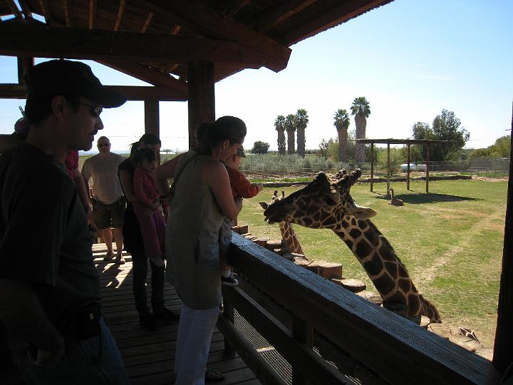 2nd Birthday at the zoo 20.JPG